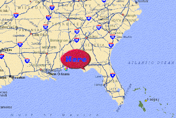 wpe8.gif (216660 bytes)