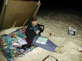 tide staff gulf.jpg (54363 bytes)